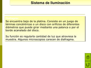 Sistema de Iluminación
Sistema de Iluminación

Diafragma:
Diafragma:
Se encuentra bajo de la platina. Consiste en un juego de
Se encuentra bajo de la platina. Consiste en un juego de
láminas concéntricas o un disco con orificios de diferentes
láminas concéntricas o un disco con orificios de diferentes
diámetros que puede girar mediante una palanca o por el
diámetros que puede girar mediante una palanca o por el
borde acanalado del disco.
borde acanalado del disco.
Su función es regularla cantidad de luz que atraviesa la
Su función es regularla cantidad de luz que atraviesa la
muestra. Algunos microscopios carecen de diafragma.
muestra. Algunos microscopios carecen de diafragma.

 