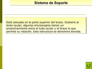 Sistema de Soporte
Sistema de Soporte

Tubo ocular o Cuerpo:
Tubo ocular o Cuerpo:
Está colocado en la parte superior del brazo. Sostiene al
Está colocado en la parte superior del brazo. Sostiene al
lente ocular, algunos microscopios tienen un
lente ocular, algunos microscopios tienen un
ensanchamiento entre el tubo ocular y el brazo lo que
ensanchamiento entre el tubo ocular y el brazo lo que
permite su rotación. Esta estructura se denomina bóveda.
permite su rotación. Esta estructura se denomina bóveda.

 