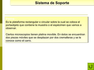 Sistema de Soporte
Sistema de Soporte

Platina:
Platina:
Es la plataforma rectangular o circular sobre la cual se coloca el
Es la plataforma rectangular o circular sobre la cual se coloca el
portaobjeto que contiene la muestra o el espécimen que vamos a
portaobjeto que contiene la muestra o el espécimen que vamos a
observar.
observar.
Ciertos microscopios tienen platina movible. En éstos se encuentran
Ciertos microscopios tienen platina movible. En éstos se encuentran
dos piezas móviles que se desplazan por dos cremalleras y se le
dos piezas móviles que se desplazan por dos cremalleras y se le
conoce como el carro.
conoce como el carro.

 
