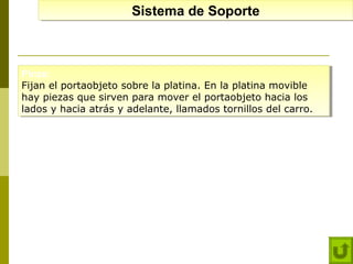 Sistema de Soporte
Sistema de Soporte

Pinza:
Pinza:
Fijan el portaobjeto sobre la platina. En la platina movible
Fijan el portaobjeto sobre la platina. En la platina movible
hay piezas que sirven para mover el portaobjeto hacia los
hay piezas que sirven para mover el portaobjeto hacia los
lados y hacia atrás y adelante, llamados tornillos del carro.
lados y hacia atrás y adelante, llamados tornillos del carro.

 
