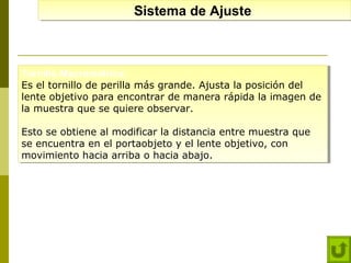 Sistema de Ajuste
Sistema de Ajuste

Tornillo Macrométrico:
Tornillo Macrométrico:
Es el tornillo de perilla más grande. Ajusta la posición del
Es el tornillo de perilla más grande. Ajusta la posición del
lente objetivo para encontrar de manera rápida la imagen de
lente objetivo para encontrar de manera rápida la imagen de
la muestra que se quiere observar.
la muestra que se quiere observar.
Esto se obtiene al modificar la distancia entre muestra que
Esto se obtiene al modificar la distancia entre muestra que
se encuentra en el portaobjeto y el lente objetivo, con
se encuentra en el portaobjeto y el lente objetivo, con
movimiento hacia arriba o hacia abajo.
movimiento hacia arriba o hacia abajo.

 