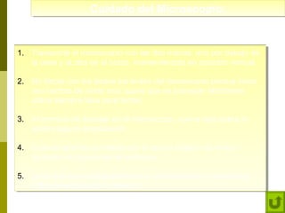 Cuidado del Microscopio:
Cuidado del Microscopio:

1. Transporte el microscopio con las dos manos: uno por debajo de
1. Transporte el microscopio con las dos manos: uno por debajo de
la base y la otra en el brazo, manteniéndolo en posición vertical.
la base y la otra en el brazo, manteniéndolo en posición vertical.
2. No limpie con los dedos los lentes del microscopio porque éstos
2. No limpie con los dedos los lentes del microscopio porque éstos
son hechos de vidrio muy suave que se subrayan fácilmente,
son hechos de vidrio muy suave que se subrayan fácilmente,
utilice siempre tope para lentes.
utilice siempre tope para lentes.
3. Al terminar de trabajar en el microscopio, nunca dejé sobre la
3. Al terminar de trabajar en el microscopio, nunca dejé sobre la
platina alguna preparación.
platina alguna preparación.
4. Cuando termine su trabajo con lo que el objetivo de menor
4. Cuando termine su trabajo con lo que el objetivo de menor
aumento en la posición de enfoque.
aumento en la posición de enfoque.
5. La de irse que cuidadosamente el cubreobjetos y portaobjetos
5. La de irse que cuidadosamente el cubreobjetos y portaobjetos
antes de entregarlo al profesor.
antes de entregarlo al profesor.

 