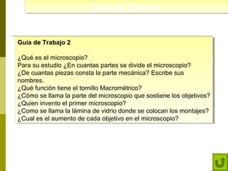 Guía de Trabajo:
Guía de Trabajo:

Guía de Trabajo 2
Guía de Trabajo 2
¿Qué es el microscopio?
¿Qué es el microscopio?
Para su estudio ¿En cuantas partes se divide el microscopio?
Para su estudio ¿En cuantas partes se divide el microscopio?
¿De cuantas piezas consta la parte mecánica? Escribe sus
¿De cuantas piezas consta la parte mecánica? Escribe sus
nombres.
nombres.
¿Qué función tiene el tornillo Macrométrico?
¿Qué función tiene el tornillo Macrométrico?
¿Cómo se llama la parte del microscopio que sostiene los objetivos?
¿Cómo se llama la parte del microscopio que sostiene los objetivos?
¿Quien invento el primer microscopio?
¿Quien invento el primer microscopio?
¿Como se llama la lámina de vidrio donde se colocan los montajes?
¿Como se llama la lámina de vidrio donde se colocan los montajes?
¿Cual es el aumento de cada objetivo en el microscopio?
¿Cual es el aumento de cada objetivo en el microscopio?

 
