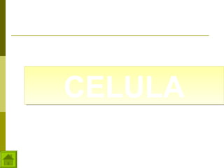 CELULA

 
