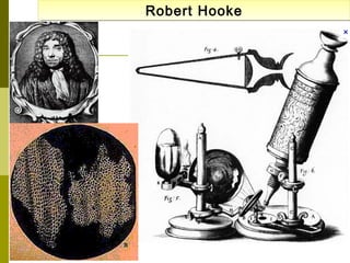 Robert Hooke
Robert Hooke

 