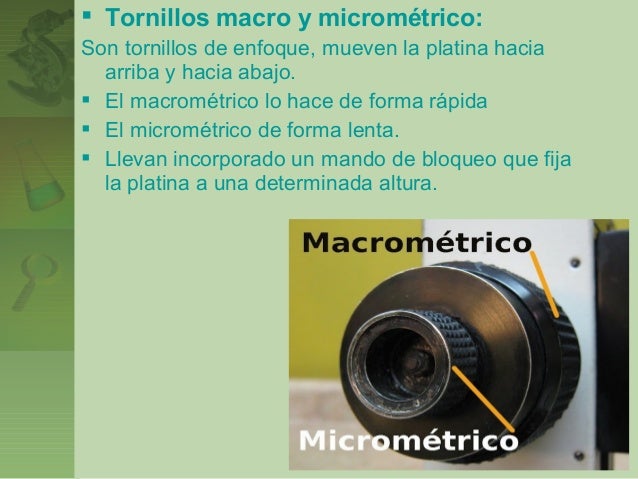 El microscopio 2 corregido