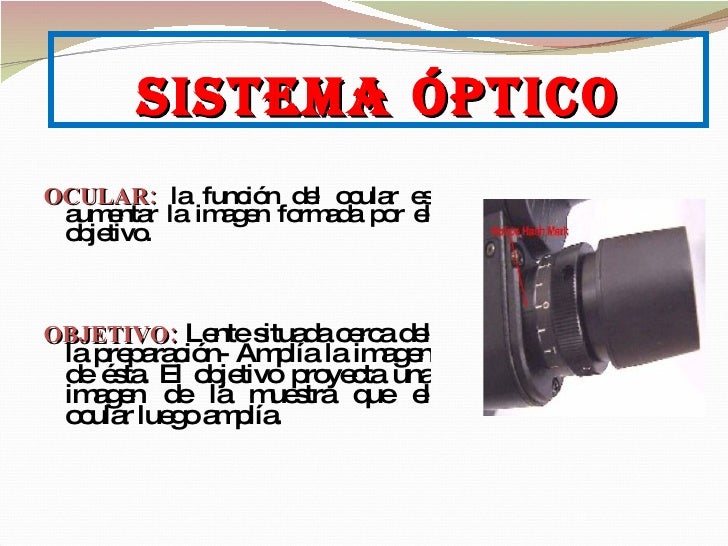 El Microscopio