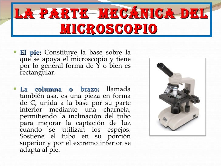 El Microscopio