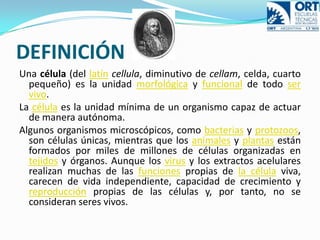 DIAFRAGMA: Regula la cantidad de luz que entra en el condensador. 