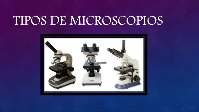 El microscopio y sus partes