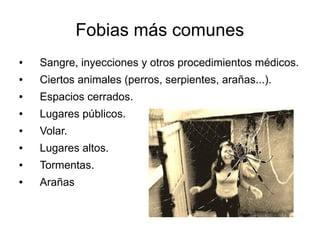 Fobias más comunes
● Sangre, inyecciones y otros procedimientos médicos.
● Ciertos animales (perros, serpientes, arañas...).
● Espacios cerrados.
● Lugares públicos.
● Volar.
● Lugares altos.
● Tormentas.
● Arañas