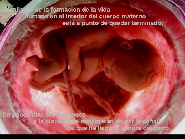 Si hay un medio real del alcoholismo