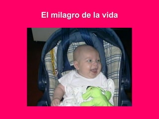 El milagro de la vida
 