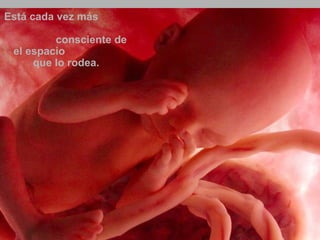 Ria slides 
Está cada vez más 
consciente de 
el espacio 
que lo rodea. 
 