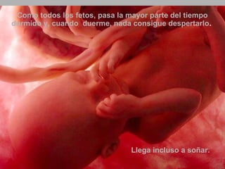Como todos los fetos, pasa la mayor parte del tiempo 
dormido y, cuando duerme, nada consigue despertarlo.. 
Ria slides 
Llega incluso a soñar. 
 