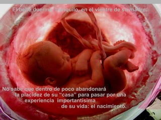 El bebé duerme, tranquilo, en el vientre de su madre. 
No sabe que dentro de poco abandonará 
la placidez de su “casa” para pasar por una 
experiencia importantísima 
de su vida: el nacimiento. 
Ria slides 
 