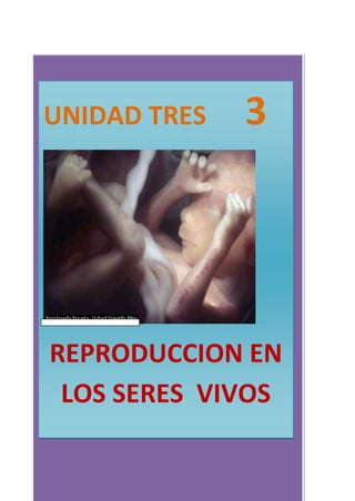 UNIDAD TRES 3
REPRODUCCION EN
LOS SERES VIVOS
 
