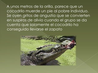 A unos metros de la orilla, parece que un
cocodrilo muerde un pie al pobre individuo.
Se oyen gritos de angustia que se convierten
en suspiros de alivio cuando el grupo se da
cuenta que solamente el cocodrilo ha
conseguido llevarse el zapato
 