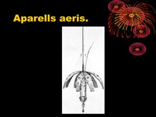 Aparells aeris.
 