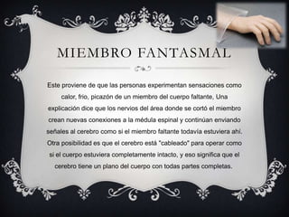 MIEMBRO FANTASMAL

Este proviene de que las personas experimentan sensaciones como
     calor, frio, picazón de un miembro del cuerpo faltante, Una
explicación dice que los nervios del área donde se cortó el miembro
crean nuevas conexiones a la médula espinal y continúan enviando
señales al cerebro como si el miembro faltante todavía estuviera ahí.
Otra posibilidad es que el cerebro está "cableado" para operar como
 si el cuerpo estuviera completamente intacto, y eso significa que el
  cerebro tiene un plano del cuerpo con todas partes completas.
 