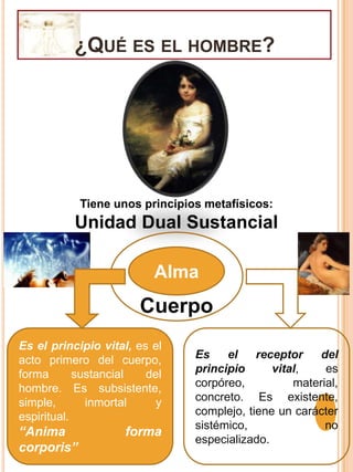 ¿Qué es el hombre?Tiene unos principios metafísicos:Unidad Dual SustancialCuerpoAlmaEs el principio vital, es el acto primero del cuerpo, forma sustancial del hombre. Es subsistente, simple, inmortal y espiritual.“Anima  forma corporis”Es el receptor del principio vital, es corpóreo, material, concreto. Es existente, complejo, tiene un carácter sistémico, no especializado.