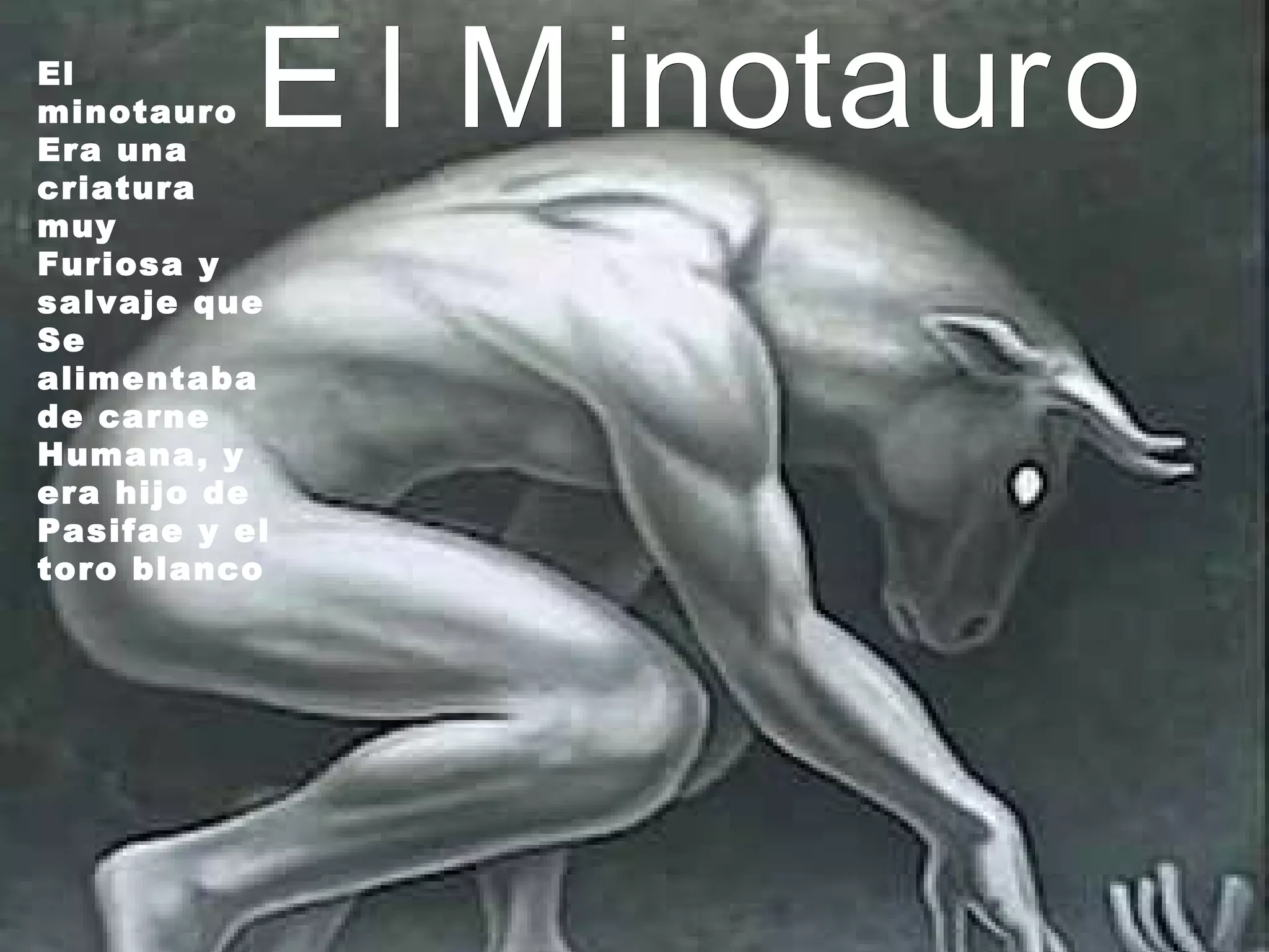 El Minotauro El minotauro Era una criatura muy Furiosa y salvaje que Se alimentaba de carne Humana, y era hijo de Pasifae y el toro blanco