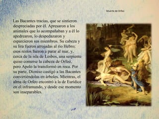 Muerte de Orfeo
Las Bacantes tracias, que se sintieron
despreciadas por él. Apresaron a los
animales que lo acompañaban y a él lo
apedrearon, lo despedazaron y
esparcieron sus miembros. Su cabeza y
su lira fueron arrojadas al río Hebro;
esos restos fueron a parar al mar, y,
cerca de la isla de Lesbos, una serpiente
quiso comerse la cabeza de Orfeo,
pero Apolo la transformó en roca. Por
su parte, Dioniso castigó a las Bacantes
convirtiéndolas en árboles. Mientras, el
alma de Orfeo encontró a la de Eurídice
en el inframundo, y desde ese momento
son inseparables.
 