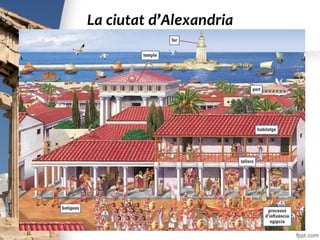 La ciutat d’Alexandria
 