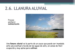 2.6. LLANURA ALUVIALProceso geológico: sedimentación.Una llanura aluvial es la parte de un cauce que puede ser inundada ante una eventual crecida de las aguas de este, en zonas de fácil ocupación y muy aptas para cultivar. 