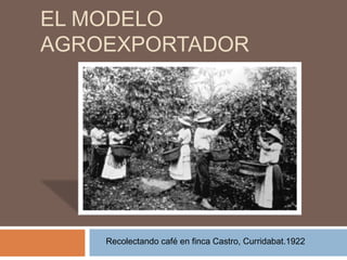 EL MODELO
AGROEXPORTADOR
Recolectando café en finca Castro, Curridabat.1922
 