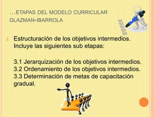 …ETAPAS DEL MODELO CURRICULAR
GLAZMAN-IBARROLA
3. Estructuración de los objetivos intermedios.
Incluye las siguientes sub ...