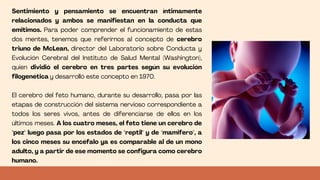 Sentimiento y pensamiento se encuentran íntimamente
relacionados y ambos se manifiestan en la conducta que
emitimos. Para poder comprender el funcionamiento de estas
dos mentes, tenemos que referirnos al concepto de cerebro
triuno de McLean, director del Laboratorio sobre Conducta y
Evolución Cerebral del Instituto de Salud Mental (Washington),
quien dividió el cerebro en tres partes según su evolución
filogenética y desarrolló este concepto en 1970.
El cerebro del feto humano, durante su desarrollo, pasa por las
etapas de construcción del sistema nervioso correspondiente a
todos los seres vivos, antes de diferenciarse de ellos en los
últimos meses. A los cuatro meses, el feto tiene un cerebro de
"pez" luego pasa por los estados de "reptil" y de "mamifero", a
los cinco meses su encéfalo ya es comparable al de un mono
adulto, y a partir de ese momento se configura como cerebro
humano.
 