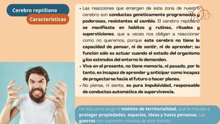 Las reacciones que emergen de esta zona de nuestro
cerebro son conductas genéticamente programadas y
poderosas, resistentes al cambio. El cerebro reptiliano
se manifiesta en hábitos y rutinas, rituales y
supersticiones, que a veces nos obligan a reaccionar
como no queremos, porque este cerebro no tiene la
capacidad de pensar, ni de sentir, ni de aprender; su
función sólo es actuar cuando el estado del organismo
y los estímulos del entorno lo demanden.
Vive en el presente, no tiene memoria, ni pasado, por lo
tanto, es incapaz de aprender y anticipar como incapaz
de proyectarse hacia el futuro o hacer planes.
No piensa, ni siente, es pura impulsividad, responsable
de conductas automática de supervivencia.
Características
Cerebro reptiliano
De esta zona surge el instinto de territorialidad, que le impulsa a
proteger propiedades, espacios, ideas y hasta personas. Las
guerras son expresión máxima de este instinto.
 