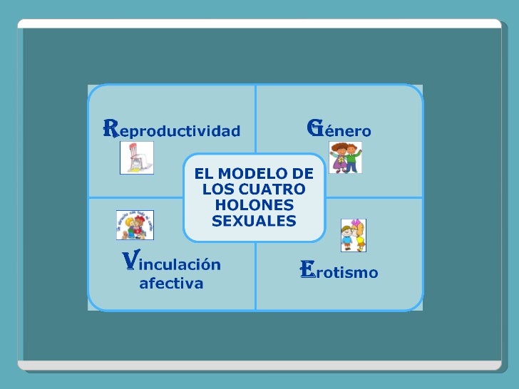 El modelo de los cuatro holones sexuales