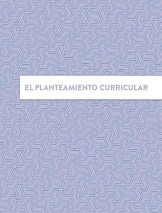 EL PLANTEAMIENTO CURRICULAR
 