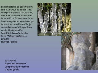 Els resultats de les observacions
dels éssers vius és aplicat tant a
les representacions naturalistes,
com a les solucions estructurals.
La inclusió de formes animals en
la seva arquitectura també es pot
interpretar a nivell simbòlic, ja
que cadascuna d’elles pot tenir
un significat específic.
Park Güell Sagrada Família
Reixa Motius vegetals dels
pinacles
Sagrada Família.
Detall de la
façana del naixement.
Comparació amb formes
d’aigua gelada.
 