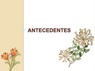 ANTECEDENTES
 