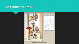 Les parts del molí
 