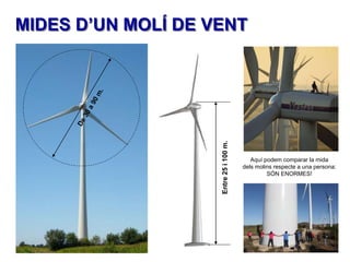 Entre 25 i 100 m.

MIDES D’UN MOLÍ DE VENT

Aquí podem comparar la mida
dels molins respecte a una persona:
SÓN ENORMES!

 