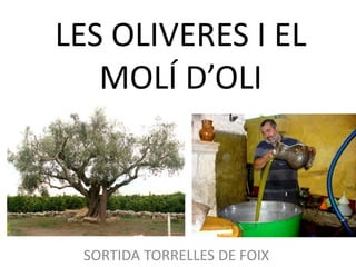 LES OLIVERES I EL
MOLÍ D’OLI
SORTIDA TORRELLES DE FOIX
 
