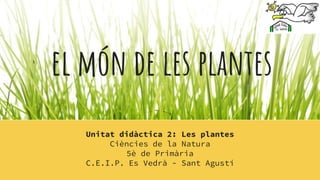 Unitat didàctica 2: Les plantes
Ciències de la Natura
5è de Primària
C.E.I.P. Es Vedrà - Sant Agustí
el món de les plantes
 