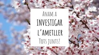 Anam a
INVESTIGAR
l’ametller
Tots junts!
 