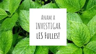 Anam a
INVESTIGAR
lES Fulles!
 