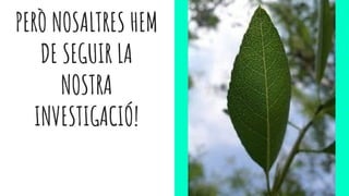 PERÒ NOSALTRES HEM
DE SEGUIR LA
NOSTRA
INVESTIGACIÓ!
 