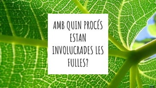 AMB QUIN PROCÉS
ESTAN
INVOLUCRADES LES
FULLES?
 