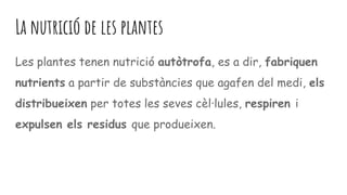 La nutrició de les plantes
Les plantes tenen nutrició autòtrofa, es a dir, fabriquen
nutrients a partir de substàncies que agafen del medi, els
distribueixen per totes les seves cèl·lules, respiren i
expulsen els residus que produeixen.
 