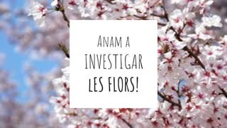 Anam a
INVESTIGAR
lES FLORS!
 