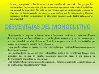 • Es muy apropiado en las áreas de escasa cantidad de mano de obra ya que los
monocultivos llegan a ocupar grandes extensiones pero con muy pocos trabajadores
por unidad de superficie. Se trata de un proceso que va sustituyendo la mano de
obra que va disminuyendo por una creciente utilización de maquinaria y técnicas
modernas, es decir, la sustitución en el proceso productivo del factor trabajo por el
factor capital.
• El suelo sufre un desgaste de los nutrientes y finalmente comienza a erosionarse. Esto se
debe a que en muchos cultivos se retira la planta completa, y así se interrumpe el
proceso natural de reciclaje del suelo. El suelo se empobrece y pierde productividad por
lo cual es necesario la adición de fertilizantes.
• No se puede cultivar en tierras con relieve irregular que requiera del empleo de parcelas
de pequeño tamaño.
• Los monocultivos suelen ser muy vulnerables, tanto a los problemas físicos como
históricos por lo que en muchas ocasiones, conviene llegar a una especie de
diversificación controlada de los cultivos
• Otra característica es que en caso de sequía en el producto sembrado los cultivadores ya
no tendrían más productos para vender.
 
