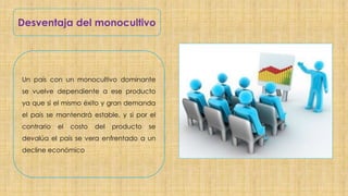 Desventaja del monocultivo
Un país con un monocultivo dominante
se vuelve dependiente a ese producto
ya que si el mismo éx...