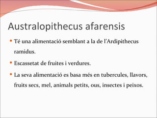 Australopithecus afarensis Té una alimentació semblant a la de l’Ardipithecus ramidus. Escassetat de fruites i verdures. La seva alimentació es basa més en tubercules, llavors, fruits secs, mel, animals petits, ous, insectes i peixos. 